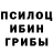 Псилоцибиновые грибы GOLDEN TEACHER JlereHga