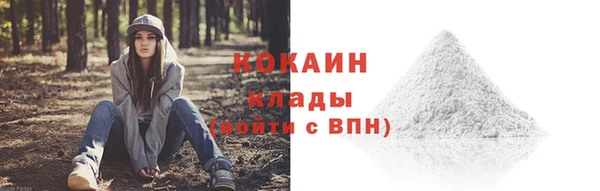 СК Аркадак