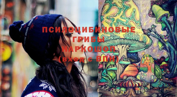 первитин Арсеньев