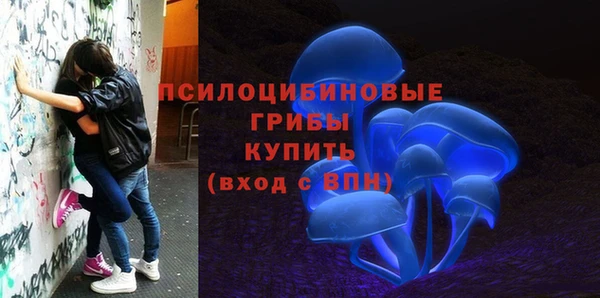 соль курить ск Алексеевка