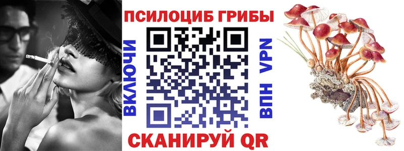 наркота  Любань  blacksprut как войти  Галлюциногенные грибы мицелий 